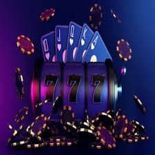 559bet