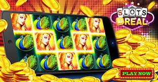 559bet