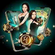 559bet